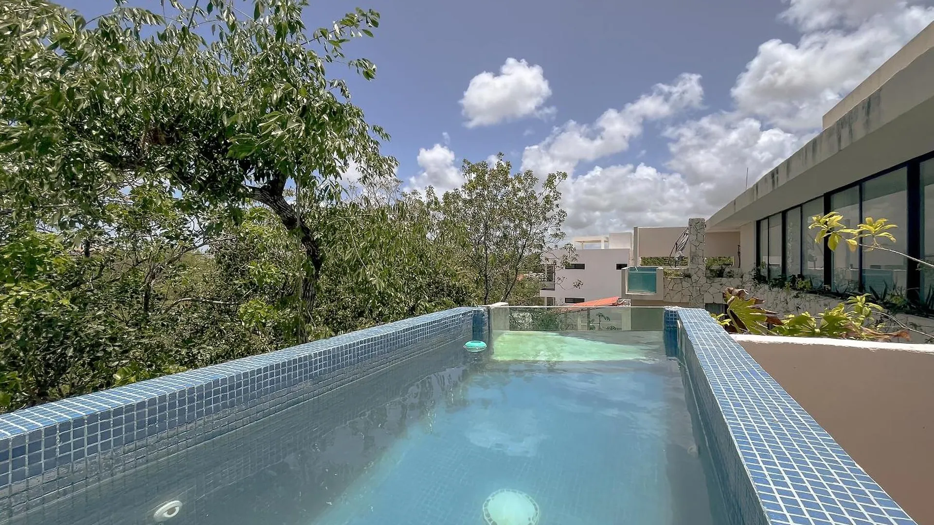 شقة Penthouse De Dos Pisos Con Alberca Privada En La Veleta تولوم 0*,